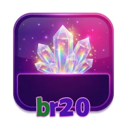 br20