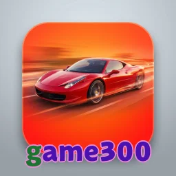 game300